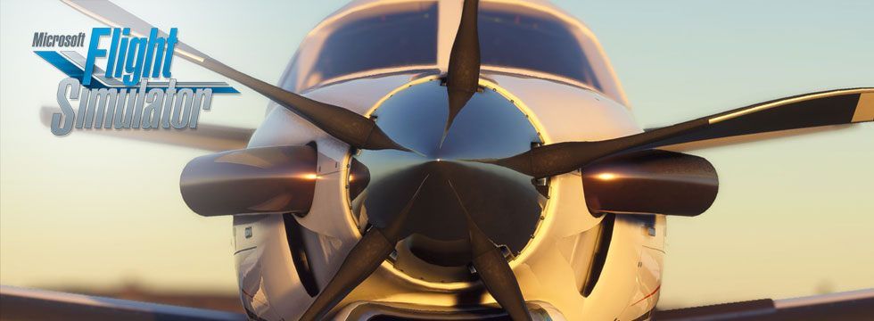 Microsoft Flight Simulator 2020 Guide