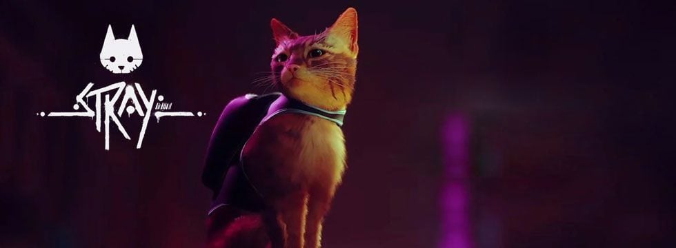 Stray: PlayStation Plus Subscribers Can Download Cat Game For Free